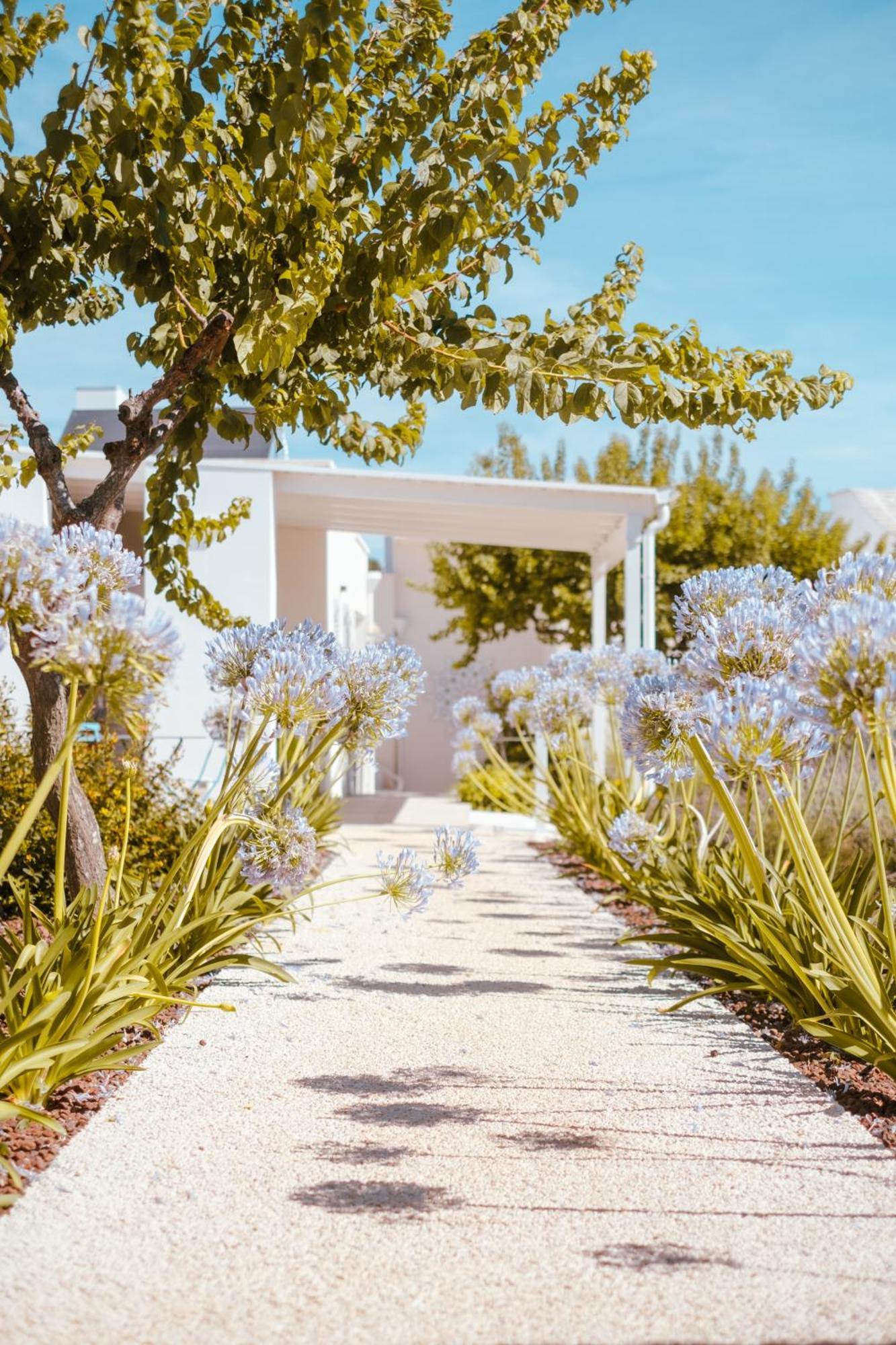 אלברובלו Iconica Luxury Suites מראה חיצוני תמונה